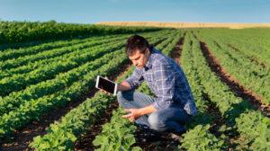 Ingeniería Agrícola en INACAP